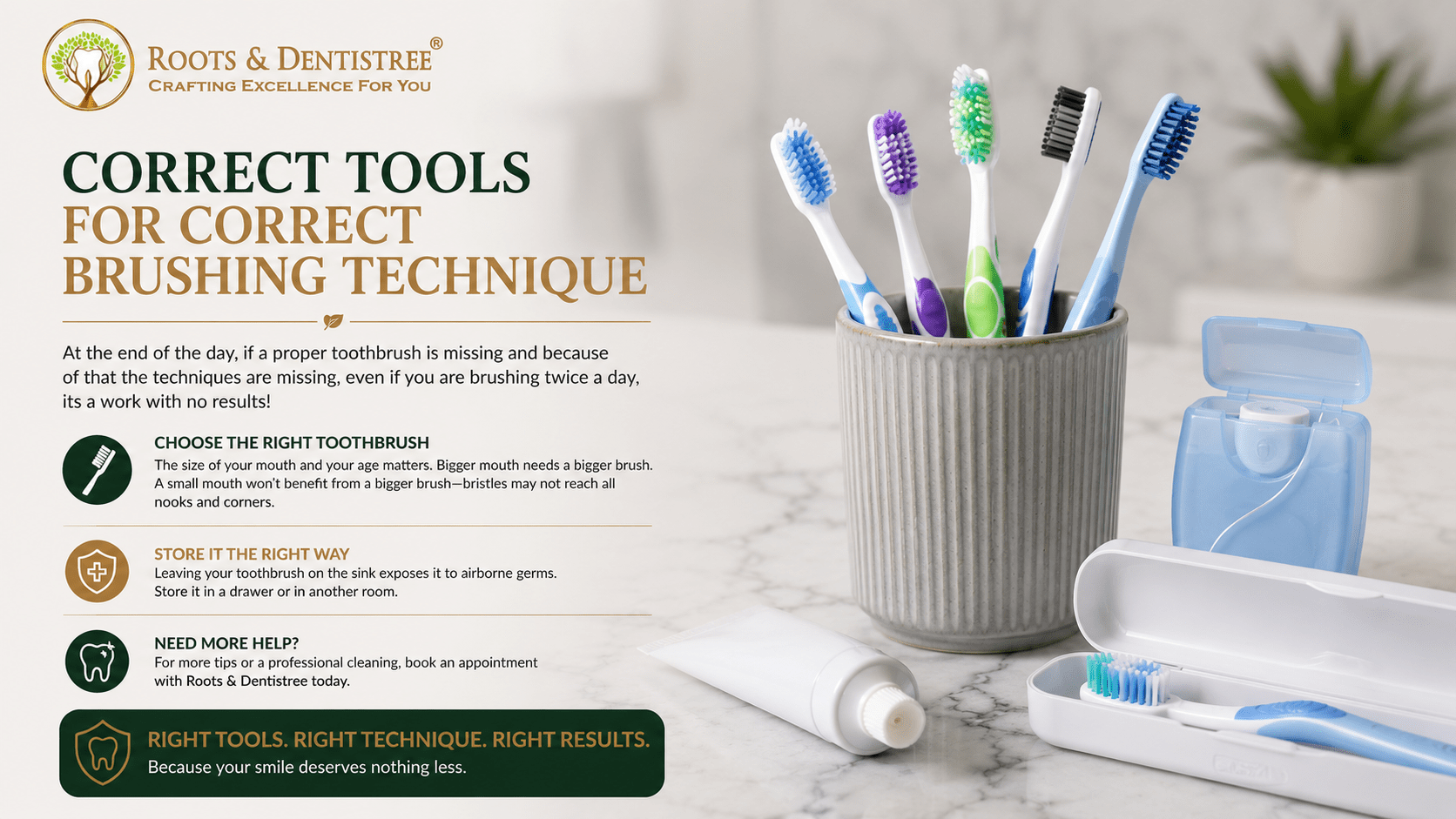 Brand banner for Roots & Dentistree: logo top left with tagline, large text 'Correct Tools for Correct Brushing Technique' and toothbrushes in a cup on a marble counter with a blue travel case nearby (informational).