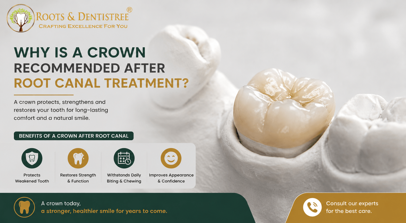 Hero banner for Roots & Dentistree: tooth crown image with the headline about crown after root canal treatment